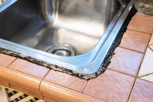 家中潛藏黴菌危害健康 幾招教你防霉 保護健康