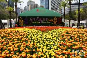 維園花展明晚閉幕 3500盆花卉下周一免費派