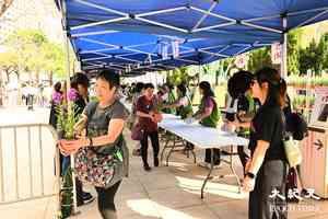 維園花展｜約3,500盆花免費派 市民排隊領取（多圖）