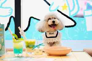 OneDegree夥拍Sport b.期間限定主題餐廳登陸南豐紗廠