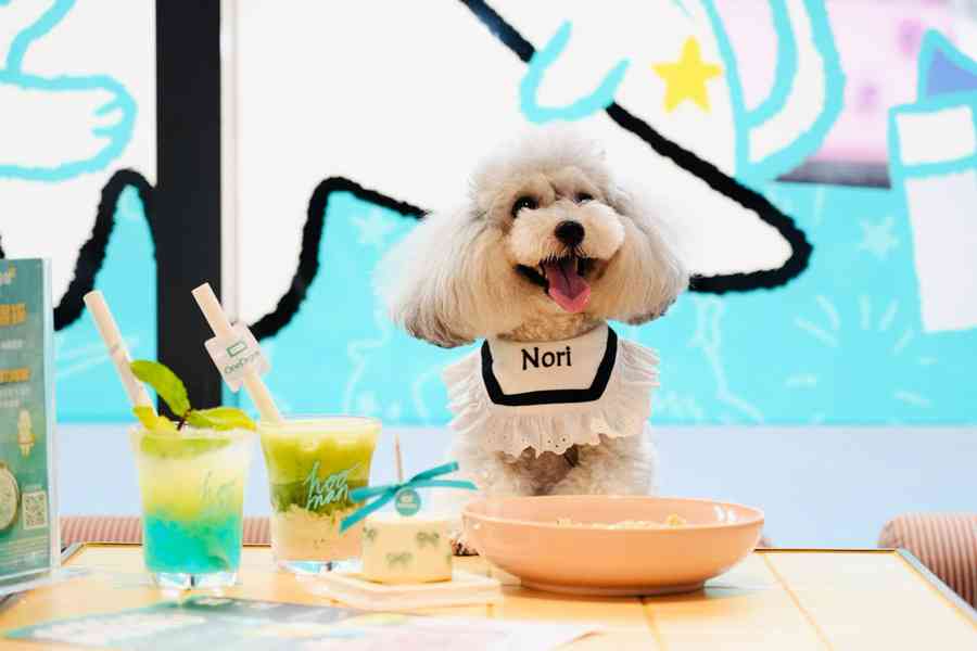 OneDegree夥拍Sport b.期間限定主題餐廳登陸南豐紗廠