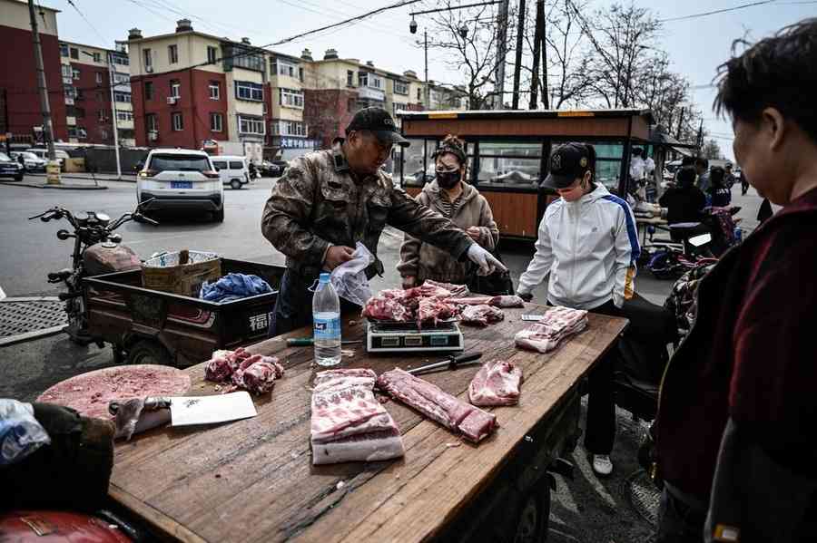 【新世紀特稿】中共去散戶化 生豬嚴重過剩 企業進退兩難