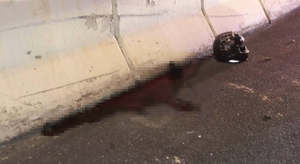 牛頭角32歲鐵騎士疑失控撞壆 頭傷送院不治