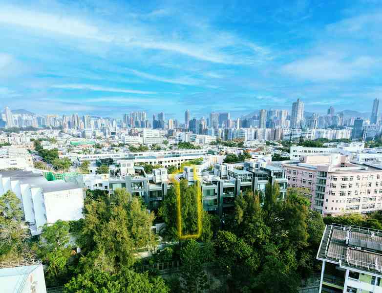 第一太平戴維斯代理標售又一村罕有洋房