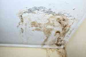 年均接4.6萬滲水投訴 食環署試行新機制限28天內處理