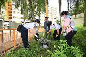 誘蚊指數升幅超過去年 食環署擬明年初試行「以蚊治蚊」