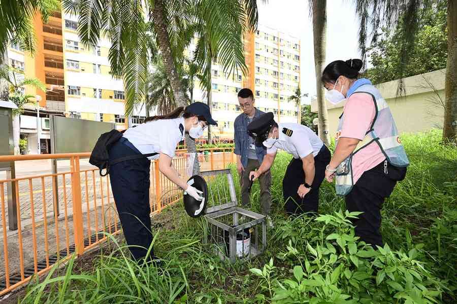 誘蚊指數升幅超過去年 食環署擬明年初試行「以蚊治蚊」