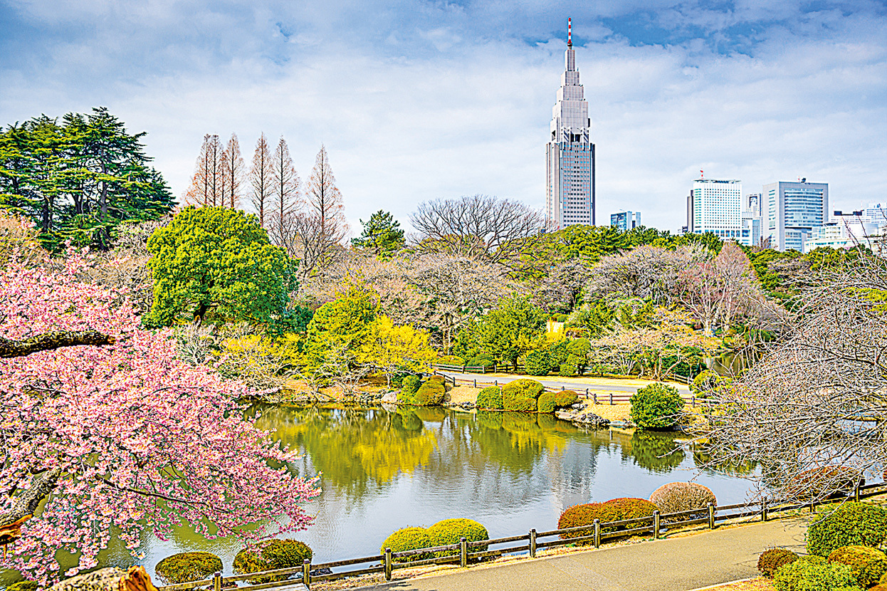 新宿御苑庭園設計獨特，是日本皇家賞櫻會的固定場所。