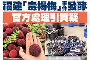 【A1頭條】福建「毒楊梅」事件發酵 官方處理引質疑