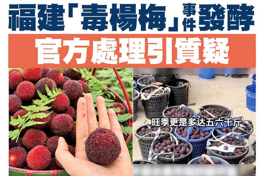【A1頭條】福建「毒楊梅」事件發酵 官方處理引質疑