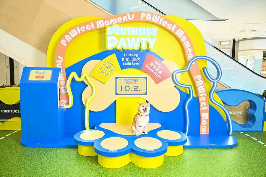 THE SOUTHSIDE全新室內貓狗樂園開幕 設「Pawfect Fit」即時量度貓狗體重