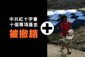 中共紅十字會十個專項基金被撤銷