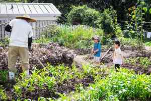 好去處｜嘉道理農場創辦70周年 今夏推免費入園設專題展