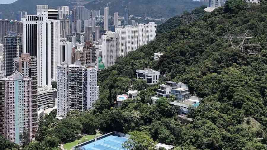 第一太平戴維斯：香港寶雲道16號兩棟全新別墅放售