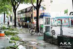 紅霞|政府已接331宗塌樹報告 21人風暴期間受傷(更新)