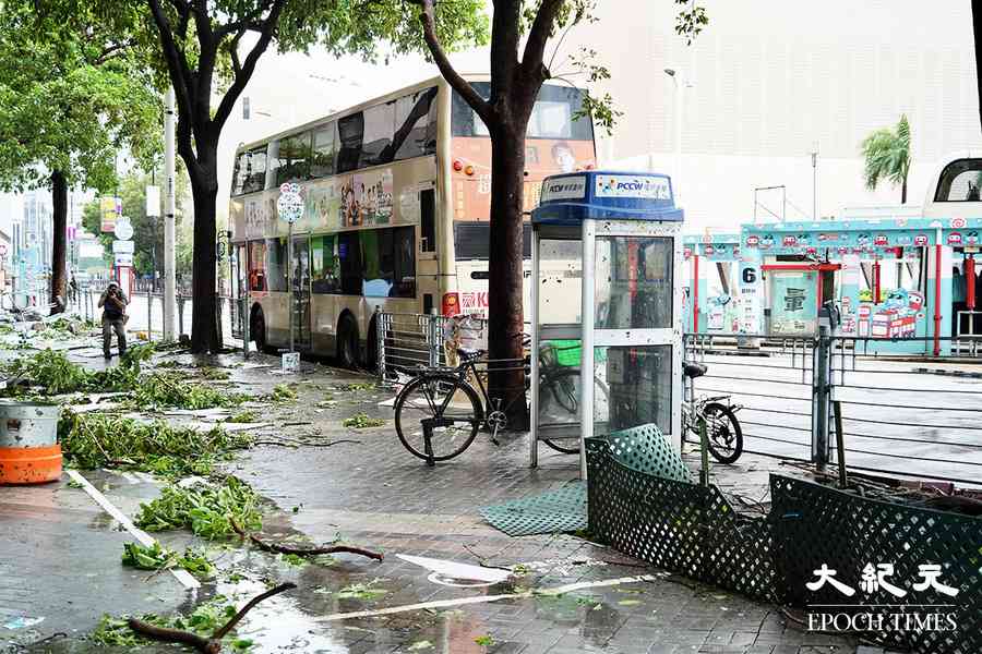紅霞｜政府已接331宗塌樹報告 21人風暴期間受傷（更新）