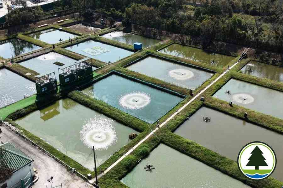 漁護署元朗試行貨櫃新養殖系統 實現廢水「零排放」