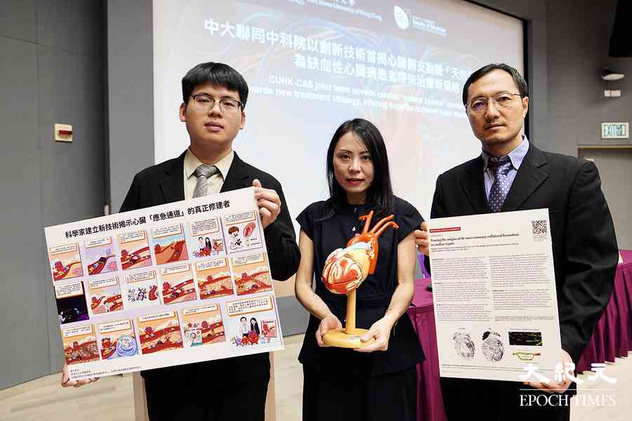 中大聯中科院首揭心臟新生側支動脈形成機制 助開展心臟缺血新療法