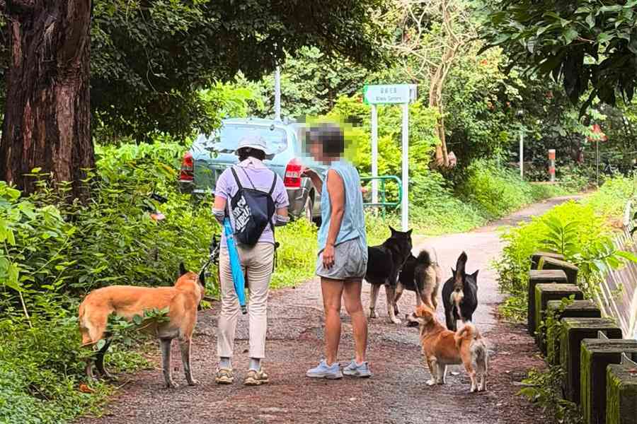 荃灣狗咬狗 漁護署：有足夠證據會檢控