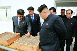 日本獲密件 金正恩掌控北韓政權秘密曝光