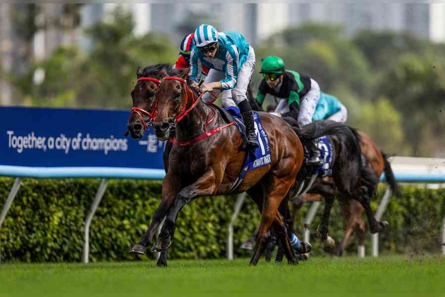 香港馬王「浪漫勇士」退役