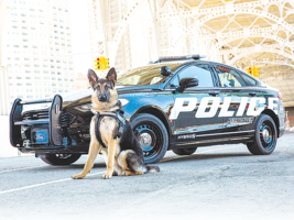 美國警車也要省油 Ford發佈Hybrid Police Responder