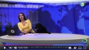 俄女主持人直播新聞 黑狗亂入搶鏡頭