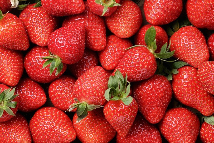 草莓連吃一個月 血脂降兩成