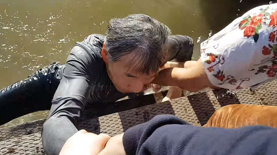 華裔女童被海獅拖下海 父親澄清未餵食