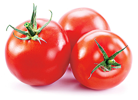 食物儲藏法 番茄