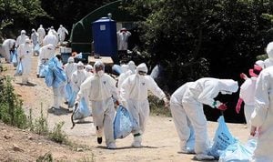 南韓夏季罕見爆發禽流感 發「嚴重」警報