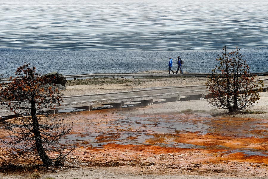 在西拇指間歇泉盆地（West Thumb Geyser Basin）湖邊漫步。（MARK RALSTON/AFP/Getty Images）