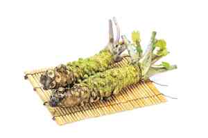 山葵可治禿頭效果比生髮產品好