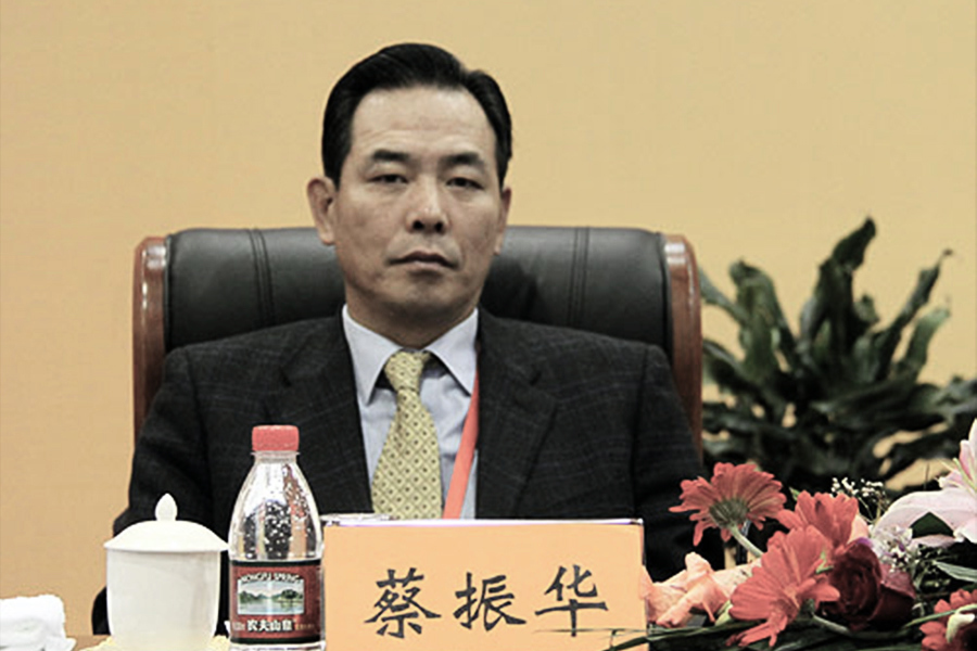 蔡振華未當選十九大代表的背後