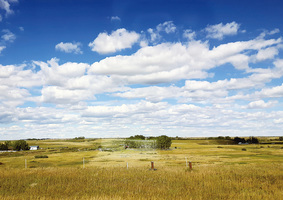 加拿大150周年之平原省篇 風吹草低見牛羊
