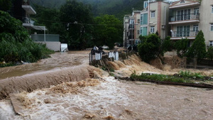 三度發黃雨 大埔近百人被困