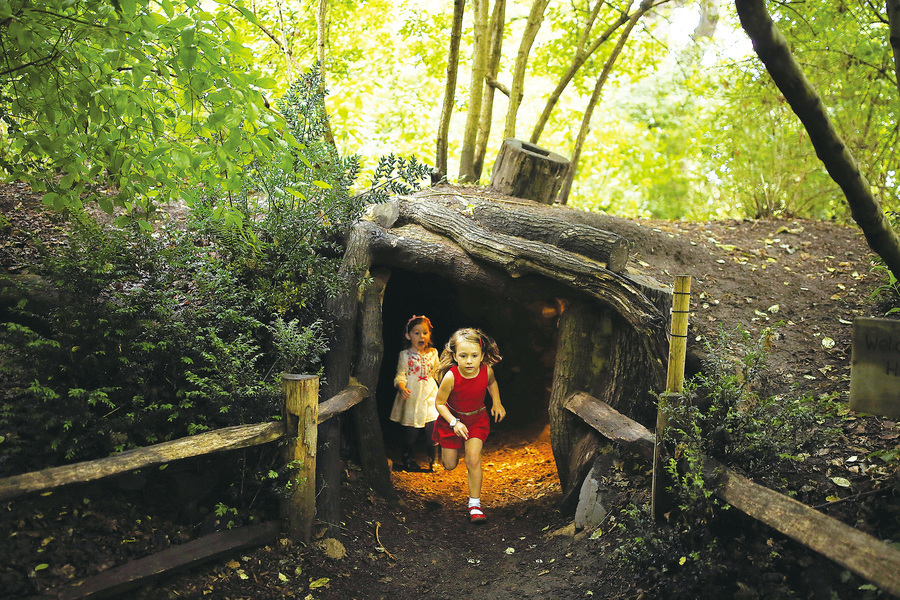樹屋完美假日 在英國尋找兒時的夢 ——Tree House