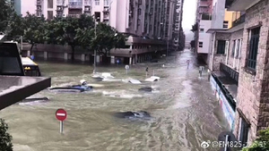 颱風「天鴿」襲粵 江門遭重創 深圳交通癱瘓