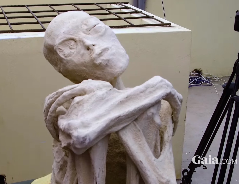 這具「人形生物木乃伊」身長約1.70米，頭骨瘦長，眼眶巨大。（Gaia視像擷圖）