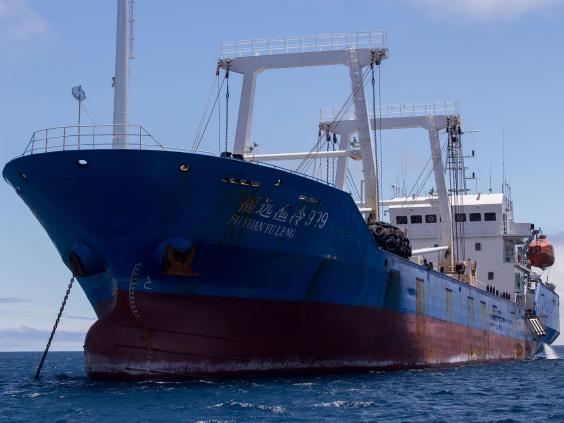 厄瓜多爾非法捕鯊魚 廿中國船員被判監