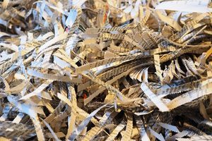 回收商下周繼續收廢紙 黃錦星促業界升級轉型