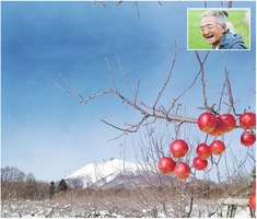 日本農夫十一年的神奇經歷和堅持 