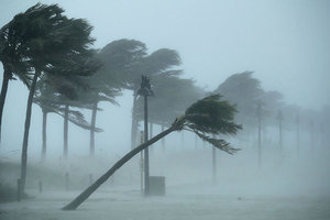 颶風艾爾瑪是隻大怪獸 這13件事你需要了解