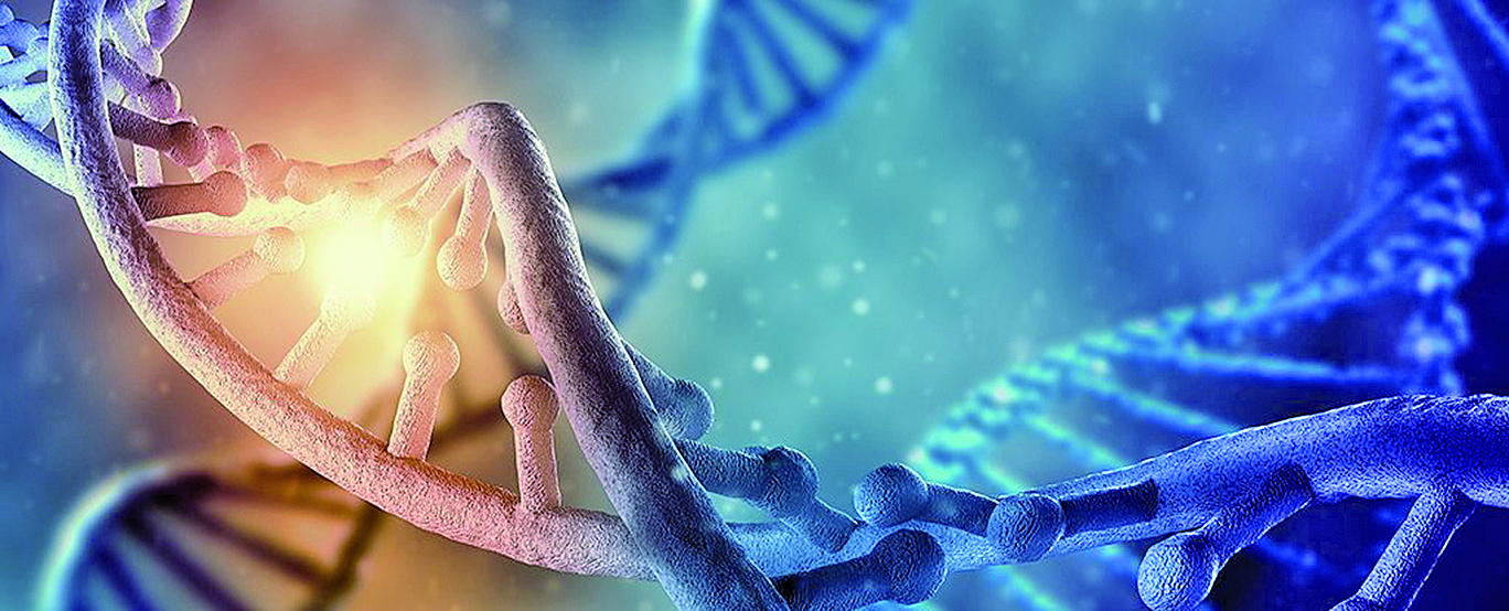 童年經歷 會永久改變你的 DNA