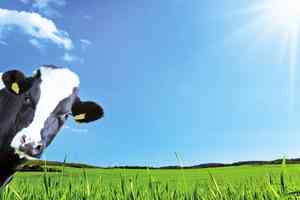 不再反脂 牛奶還是全脂好