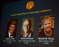 揭生物鐘奧秘 美三遺傳學家獲諾貝爾醫學獎