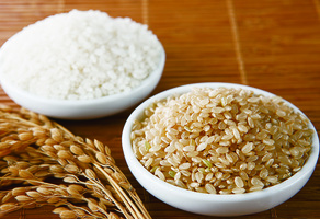 日本的飲食文化 醫食同源在日本 玄米藏玄機  白米實為粕