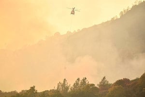 強風烈火中 加州直昇機救出42人6隻寵物
