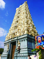 就是愛上印度 台灣女孩的異國行