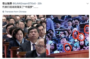 十九大黨代表們開會紛紛打瞌睡 民間譏諷落實「中國夢」